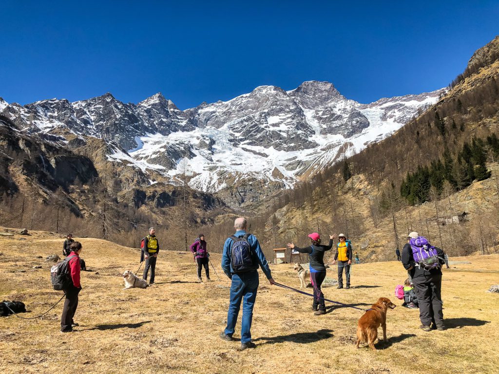 Escursione con cani di fronte al monte Rosa