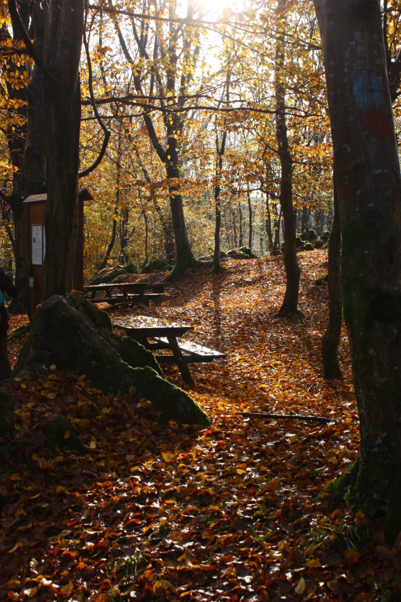 Parco Naturale del Monte Fenera_autunno
