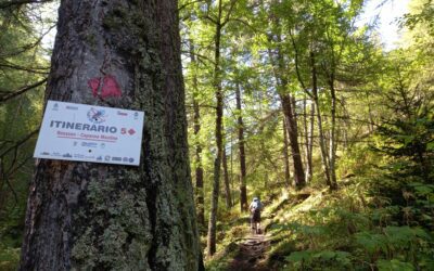 La Val Chisone tra Natura e “Forest Bathing”